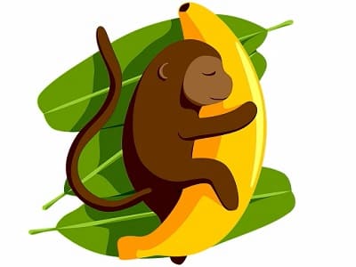 Frische Banane, genießbare Lebensmittel, ungenießbare Lebensmittel, Schimpansen, Bananen für Affen.