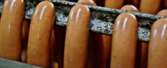 Bockwurst in der Dose kaufen, Bockwurst im Glas bestellen, vakuumierte Bockwürste
