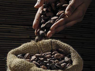 Kakaoerzeugnisse, Kakaobohne, Milcherzeugnissen mit Kakaoanteil, Schokolade .