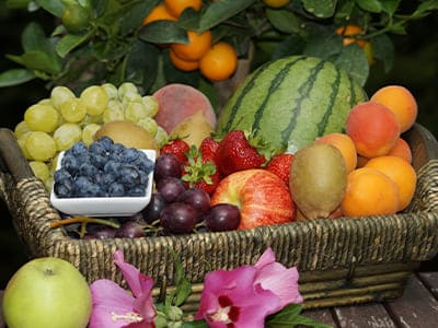 Obstfavoriten, Obst, Wasserkaraffe, Obst für die eigene Wasserkaraffe, Karaffe aus Glas, aromatisiertes Wasser, Obstsaft.