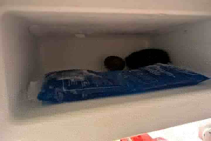 Vereistes Gefrierfach im Kühlschrank mit Eisschicht an Decke und Boden und einem Kühlakku